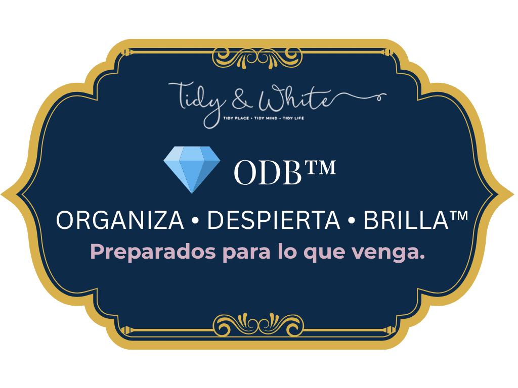 Organiza Despierta Brilla™
