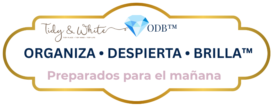 Organiza Despierta Brilla™